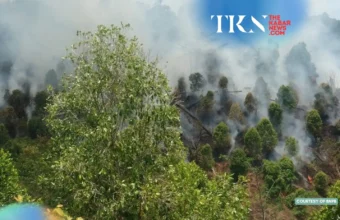 Walhi urges real powers for Prabowo’s peatland body | The Kabar News