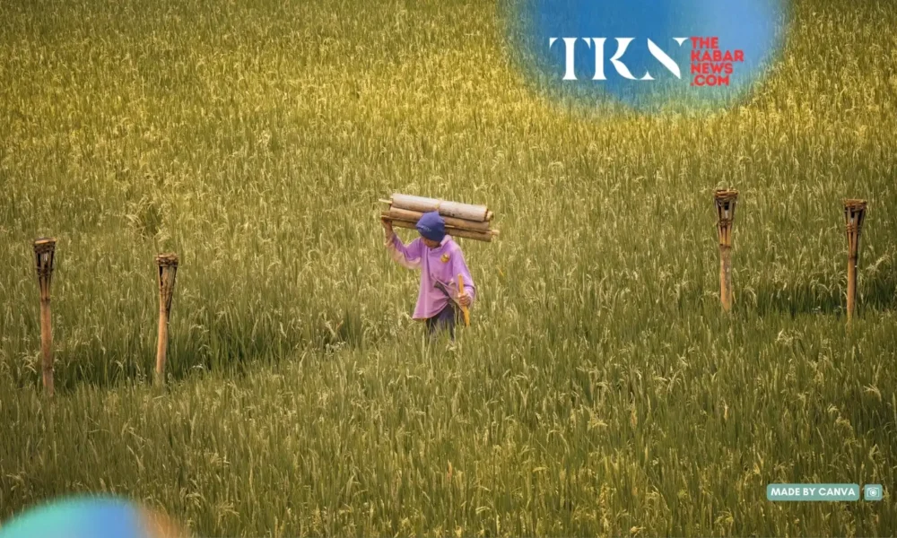 Women breadwinners reshape Indonesia’s family economy | The Kabar News