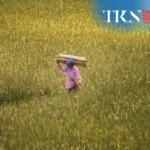 Women breadwinners reshape Indonesia’s family economy | The Kabar News