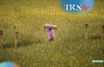 Women breadwinners reshape Indonesia’s family economy | The Kabar News