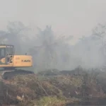 YLBHI demands wider corporate probe into forest fires | The Kabar News