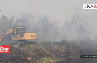 YLBHI demands wider corporate probe into forest fires | The Kabar News
