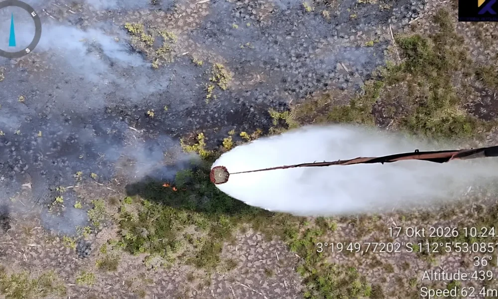 Air crews intensify Tanjung Puting wildfire fight | The Kabar News
