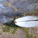Air crews intensify Tanjung Puting wildfire fight | The Kabar News