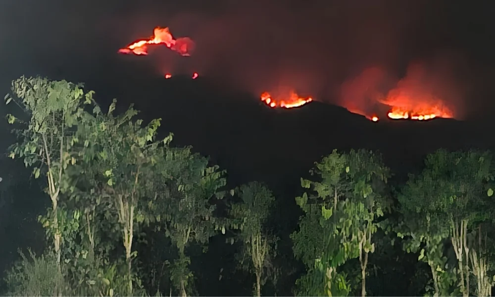 BNPB deploys 71,878 personnel against land fires | The Kabar News
