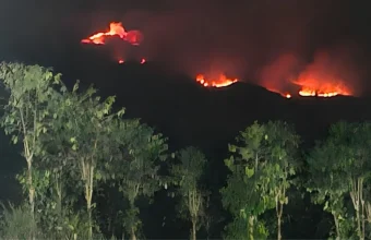 BNPB deploys 71,878 personnel against land fires | The Kabar News