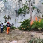BNPB steps up firefighting across six provinces | The Kabar News