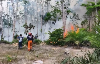 BNPB steps up firefighting across six provinces | The Kabar News