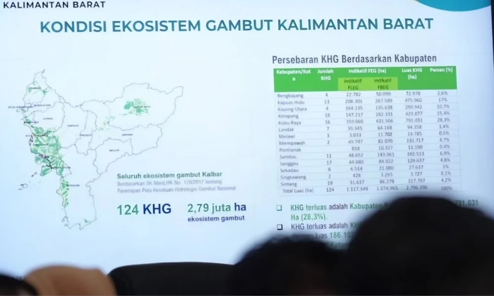 Data-led strategy targets West Kalimantan fire risk | The Kabar News