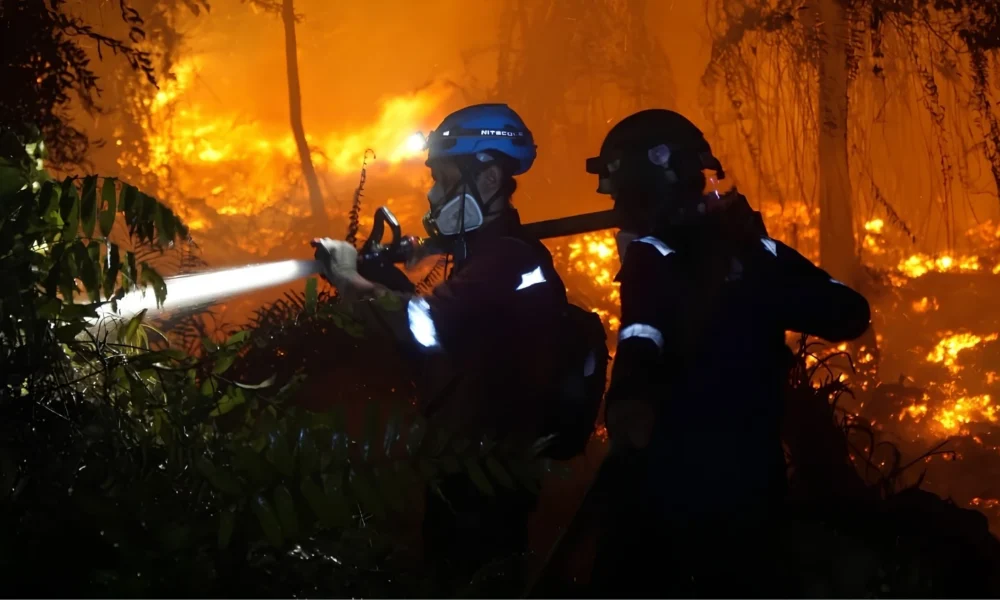 Four West Kalimantan regencies secure new wildfire funding | The Kabar News