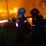 Four West Kalimantan regencies secure new wildfire funding | The Kabar News