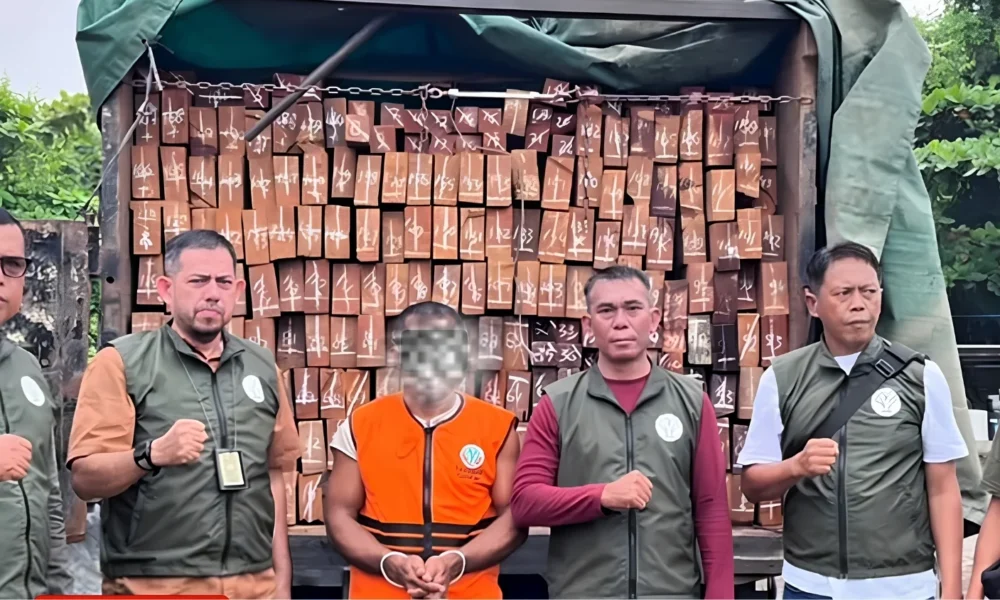 Illegal timber probe expands across West Kalimantan | The Kabar News
