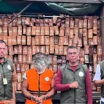 Illegal timber probe expands across West Kalimantan | The Kabar News