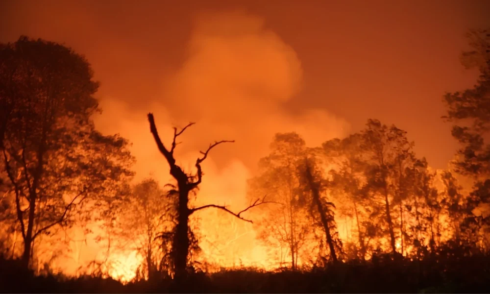 Indonesia allocates Rp1.235 trillion for wildfire response | The Kabar News