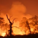 Indonesia allocates Rp1.235 trillion for wildfire response | The Kabar News