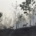 Indonesia expands weather operations against wildfire haze
