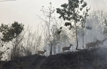 Indonesia expands weather operations against wildfire haze