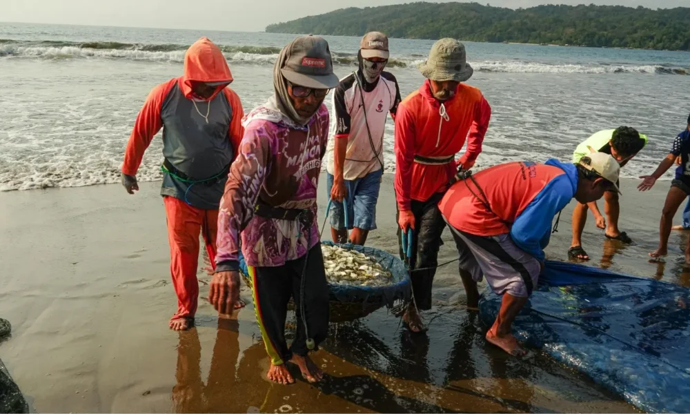 Indonesian govt expands KNMP to raise fisher incomes | The Kabar News