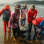 Indonesian govt expands KNMP to raise fisher incomes | The Kabar News