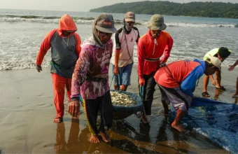 Indonesian govt expands KNMP to raise fisher incomes | The Kabar News