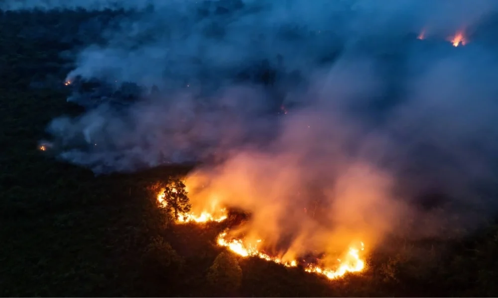 Indonesian govt disburses Rp1.235tn for wildfire response | THe Kabar News