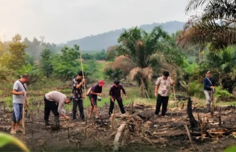 Kembayan police plant hybrid corn on 1.9 hectares | The Kabar News