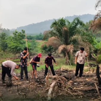 Kembayan police plant hybrid corn on 1.9 hectares | The Kabar News