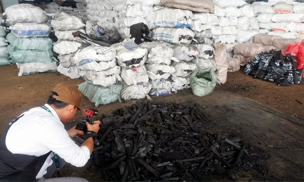 Kubu Raya Mangrove charcoal trade draws scrutiny | The Kabar News