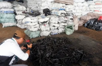 Kubu Raya Mangrove charcoal trade draws scrutiny | The Kabar News