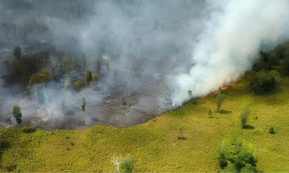 Mount Ciremai fire persists as crews target hotspots | The Kabar News