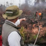 Raja Juli orders stronger Tanjung Puting firefight | The Kabar News