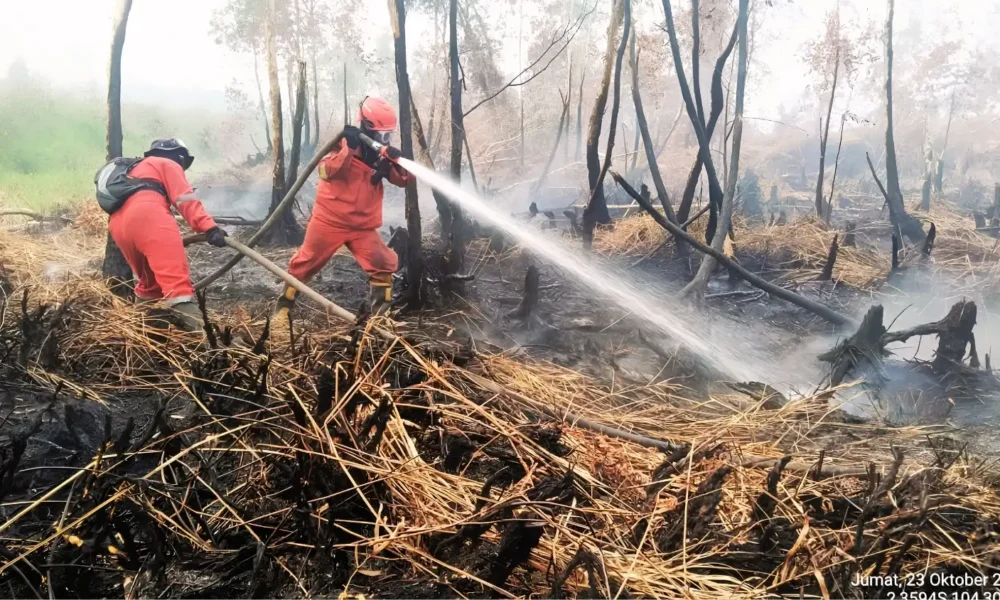 Way Kambas wildfire leaves 40 hectares still burning | THe Kabar News