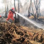 Way Kambas wildfire leaves 40 hectares still burning | THe Kabar News