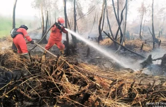 Way Kambas wildfire leaves 40 hectares still burning | THe Kabar News