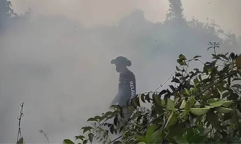 West Kalimantan haze class action opens in court | The Kabar News