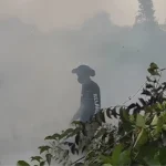 West Kalimantan haze class action opens in court | The Kabar News