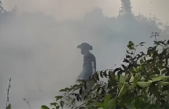 West Kalimantan haze class action opens in court | The Kabar News