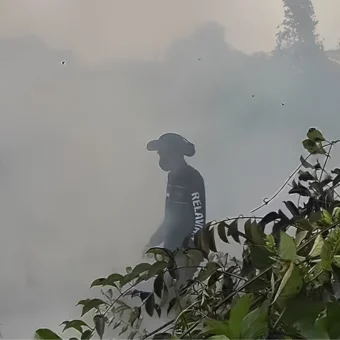 West Kalimantan haze class action opens in court | The Kabar News