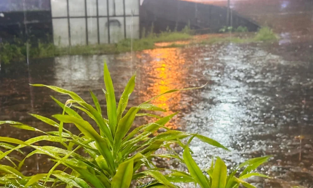 West Kalimantan prepares for shifting rainy season | The Kabar News