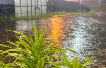 West Kalimantan prepares for shifting rainy season | The Kabar News