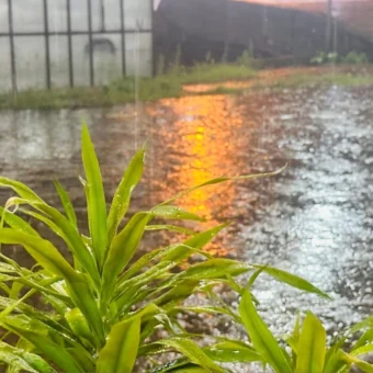 West Kalimantan prepares for shifting rainy season | The Kabar News